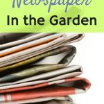 Stack of newspapers on white isolated background