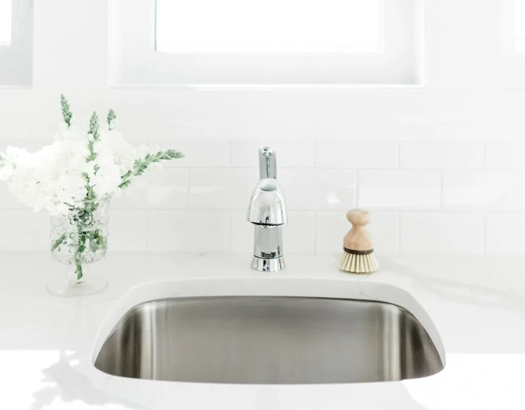 stainless steel sink against white walls with natural scrub brush