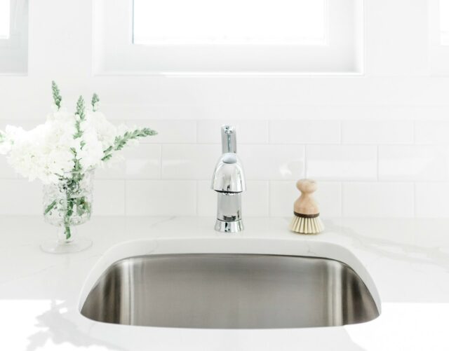 How to Naturally Kill Germs in a Kitchen Sink Get Green Be Well