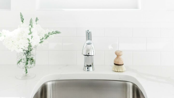 stainless steel sink against white walls with natural scrub brush