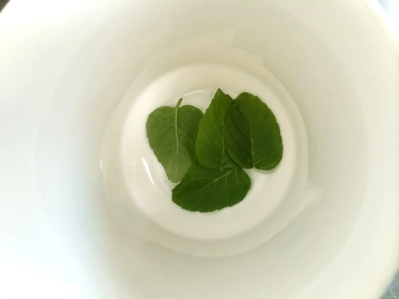 mint leaves in bottom of a white tea cup