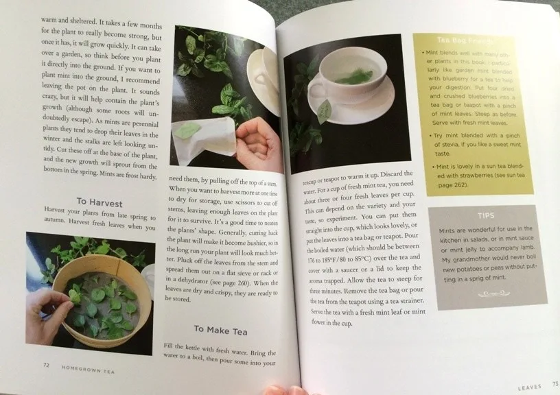 open pages of homegrown tea book