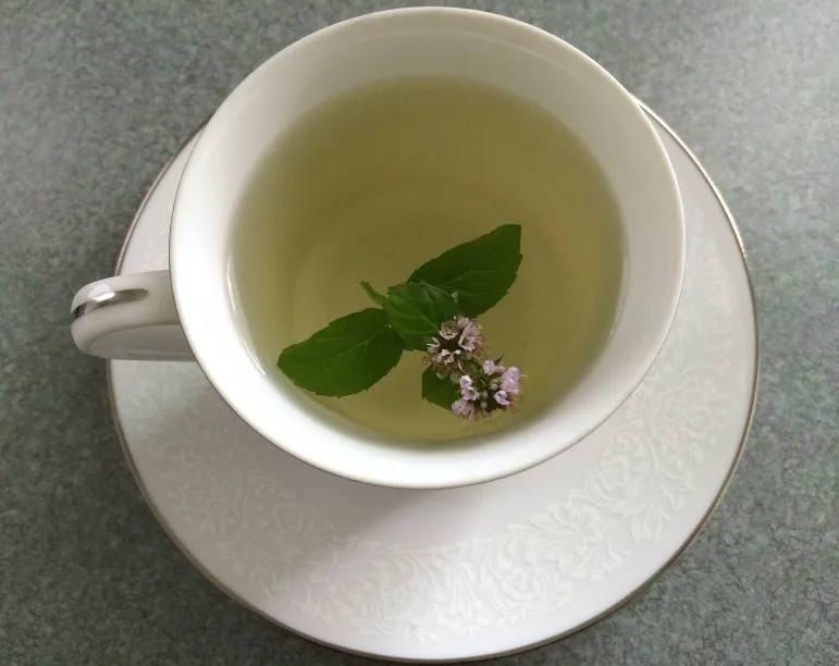 Mint leaves with purple flower in yellow colored tea in white porcelain tea cup on white porcelain saucer with lace design 