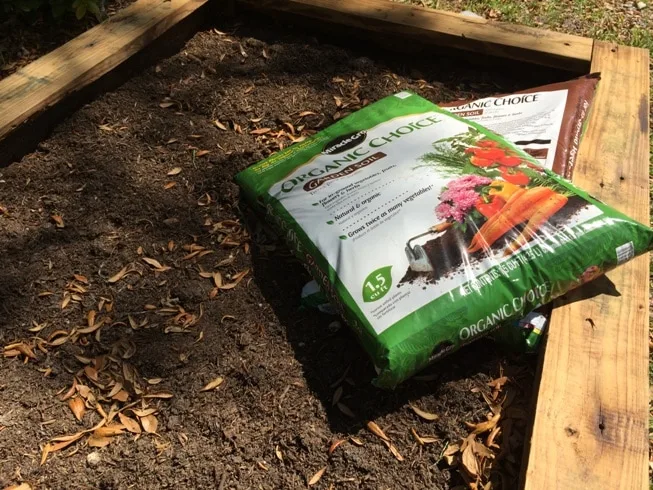 Gnats In Potting Soil Get Green Be Well Gnats In Potting Soil Get Green Be Well