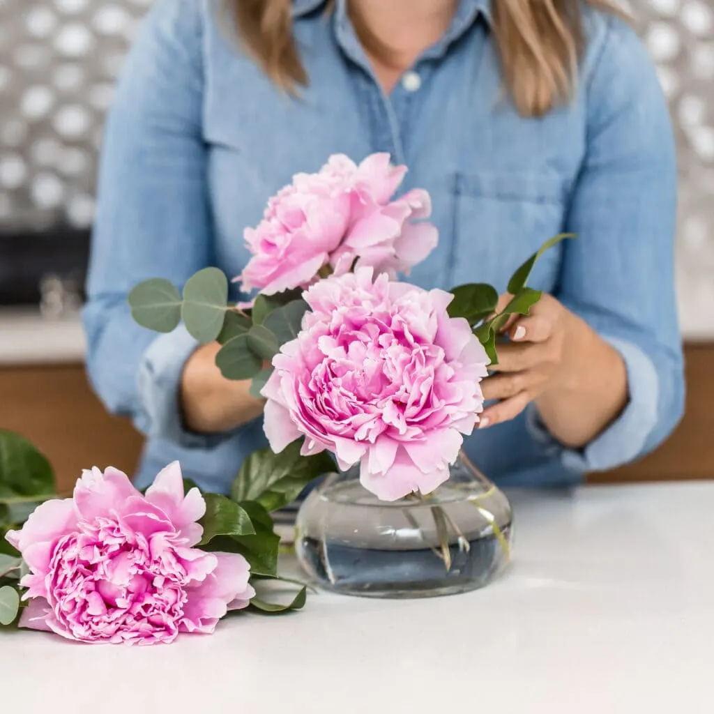 woman adding pink peonies flowers to glass vase