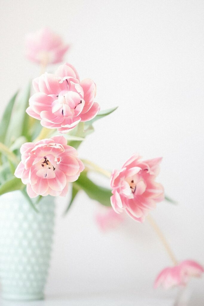 pink flowers in blue pot against white wall