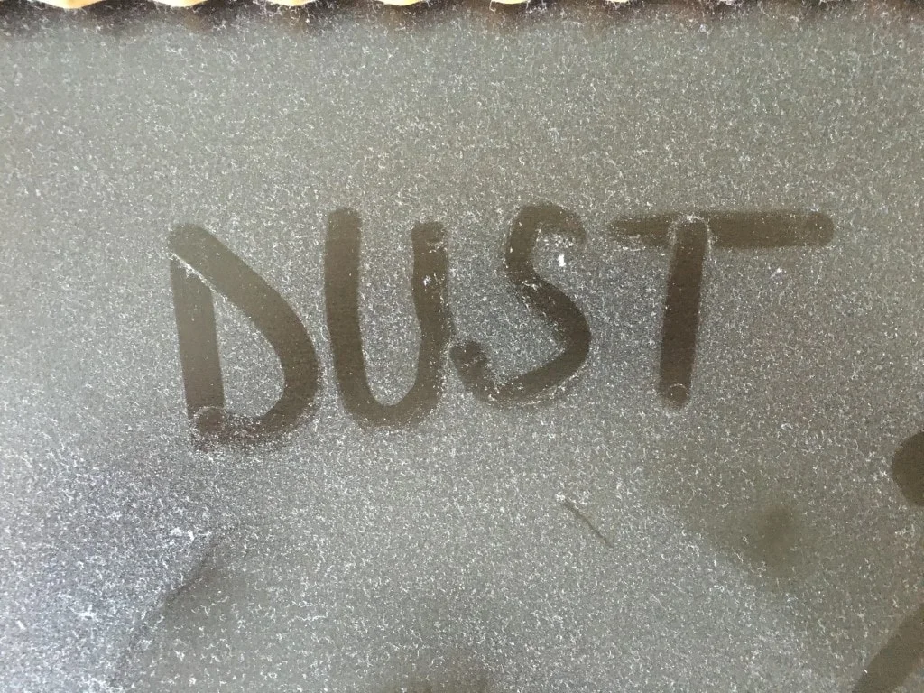 Dust Mites Allergies Where to Look