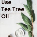 green branch next to brown bottle of tea tree oil