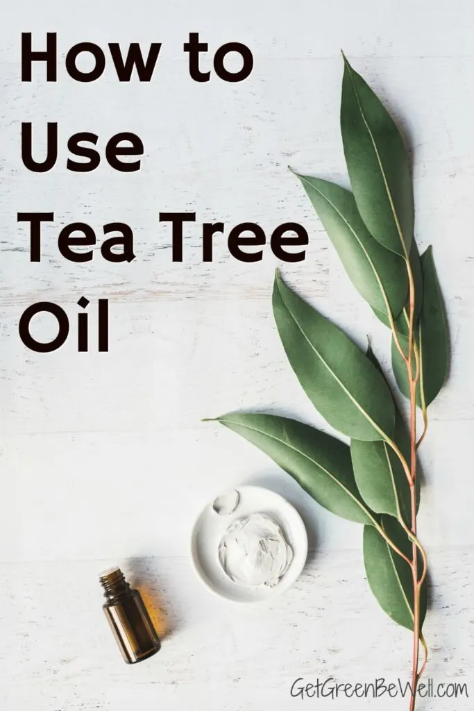 tea tree oil bottle on white background with leaves