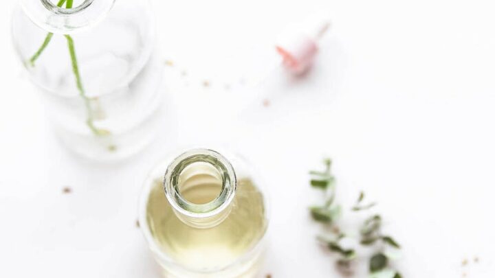 glass bottle of oil on white background with greenery in vase