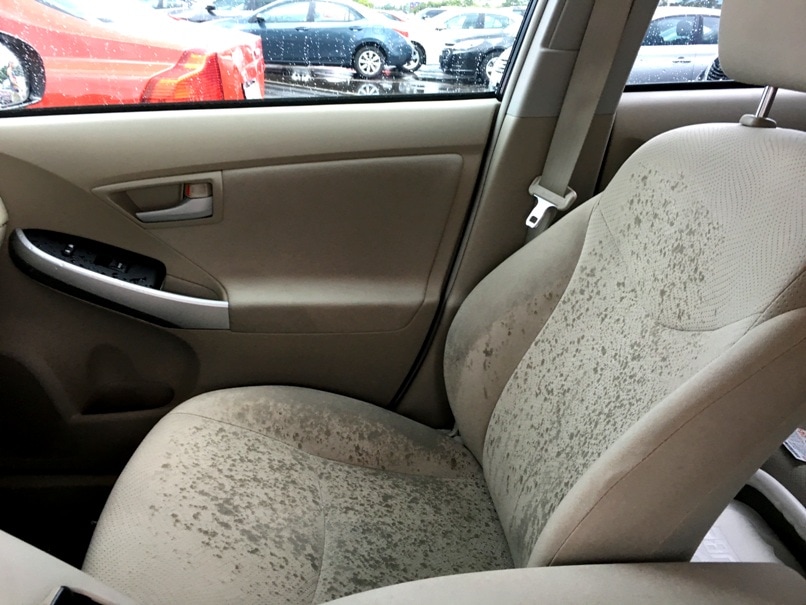 How To Get Mildew Out Of Car Carpet