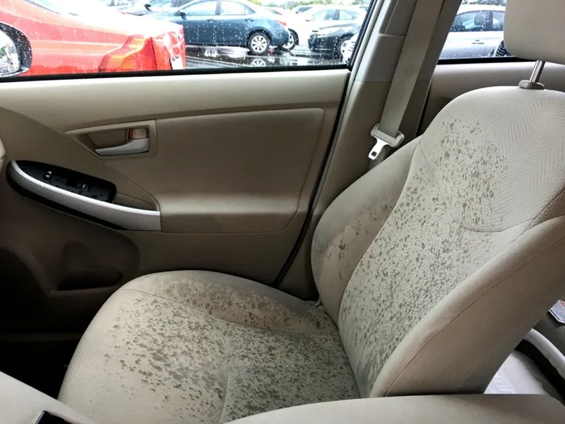 rain water covering an interior car seat next to window