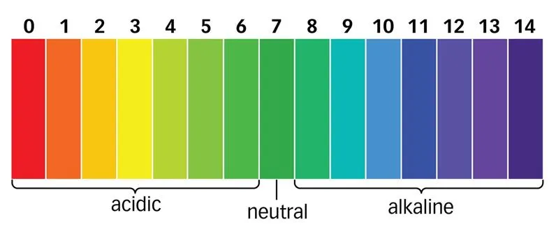 Acid Alkalaine Scale of Numbers