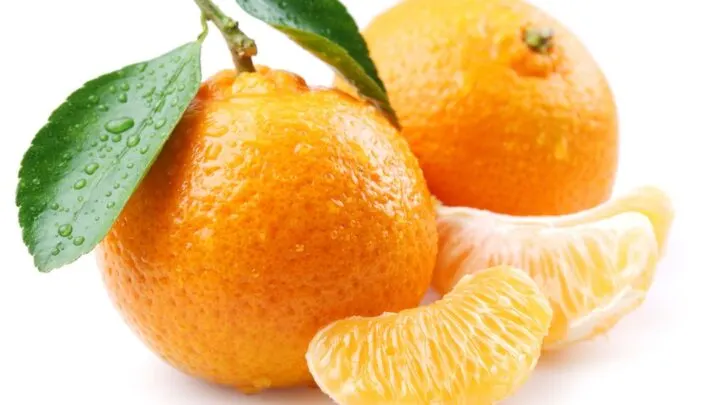 Ripe tangerines with leaves and slices on white background