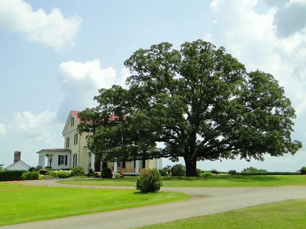 P. Allen Smith Garden Home at Moss Mountain Farm Arkansas