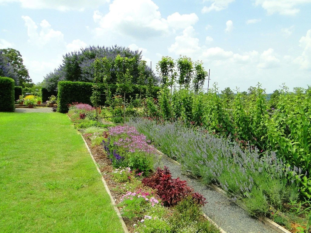 P. Allen Smith Garden Home at Moss Mountain Farm Arkansas