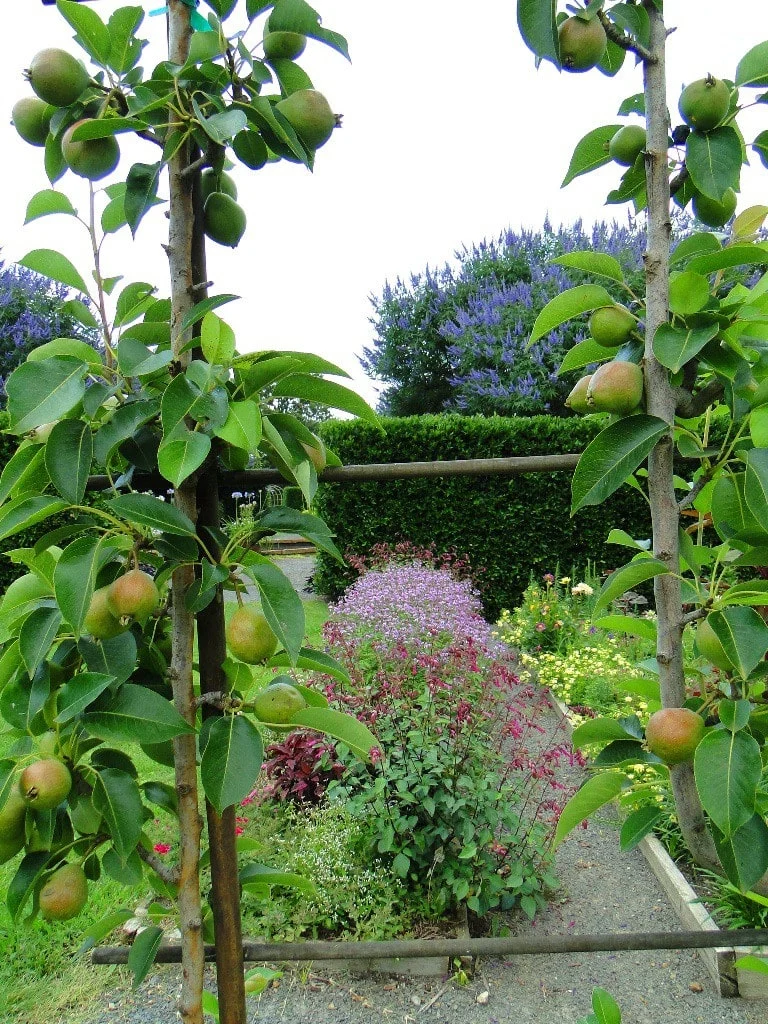 P. Allen Smith Garden Home at Moss Mountain Farm Arkansas