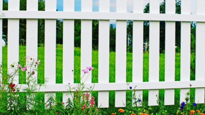 White wooden fence on green grass with flowers