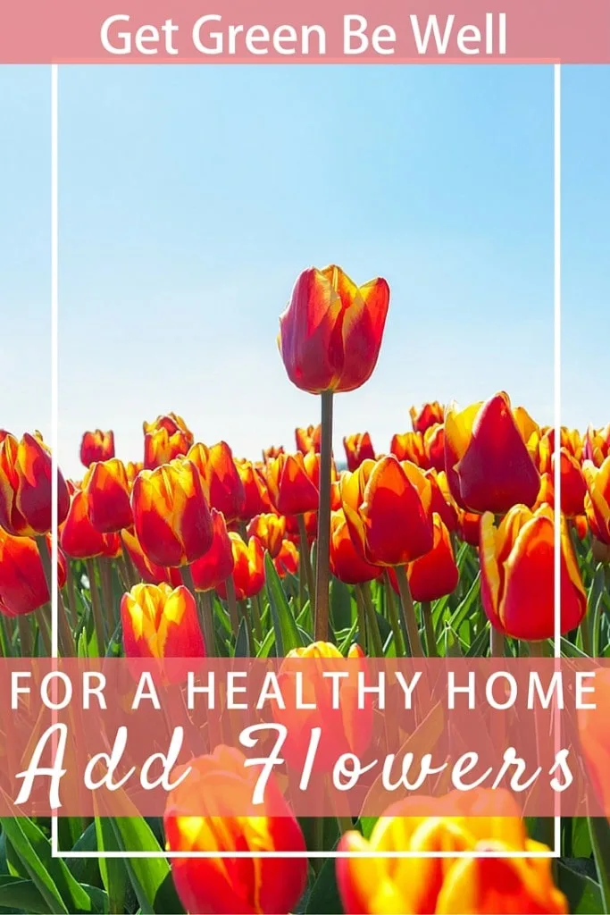 Add Flowers to Your Home for Happiness