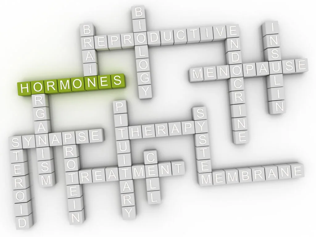 crossword puzzle with word hormones in green