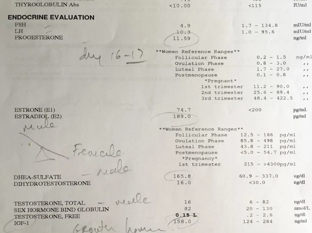 Hormonal Hell Blood Work Test Results