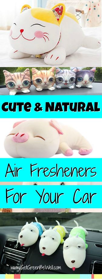 Natural Air Fresheners That Kill Mold and Remove Odors From Your Car