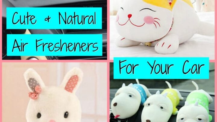 Natural Air Fresheners That Kill Mold and Remove Odors From Your Car