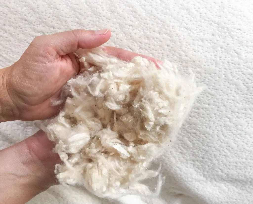 hands holding kapok and natural latex pillow stuffing