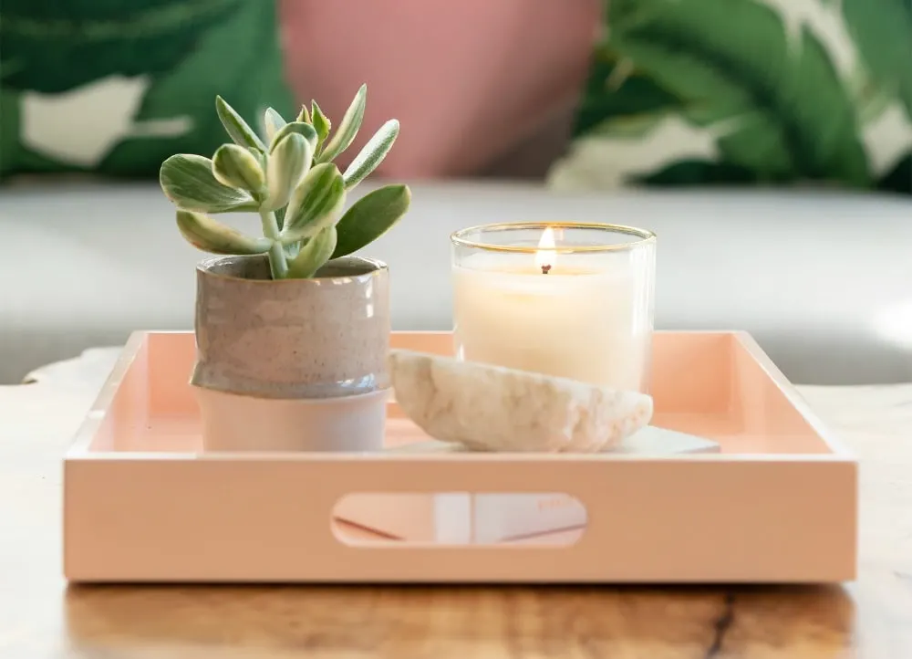 succulent plant candle in tray on living room table