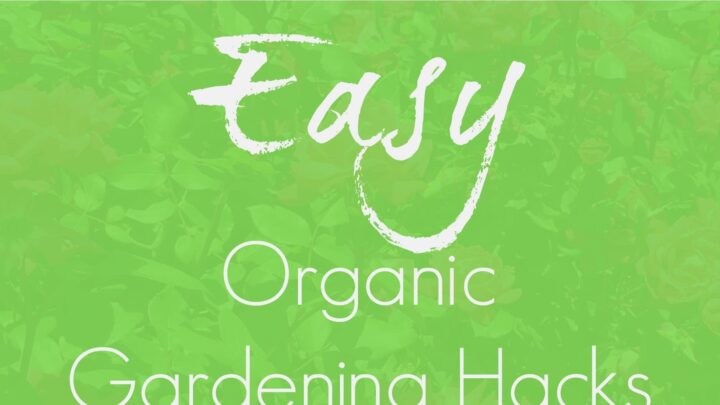 Super easy organic gardening hacks! Save time and save money with these quick ideas for a natural garden.