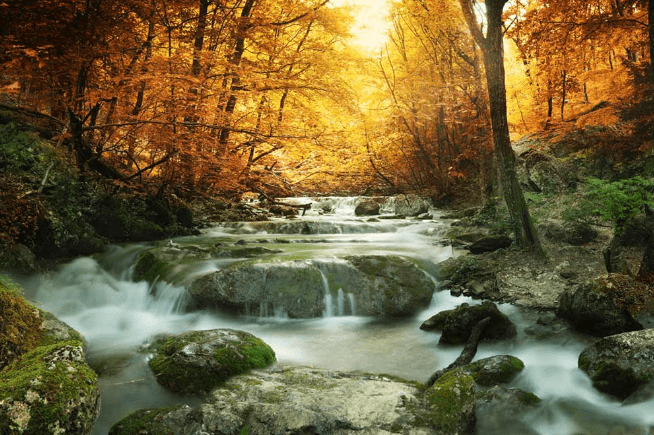 Wall Murals Nature Scenes To Reduce Stress Get Green Be Well