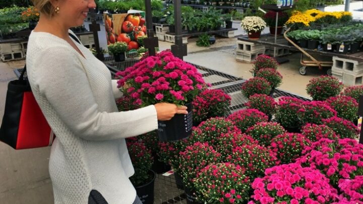prAna Sweater while picking flowers