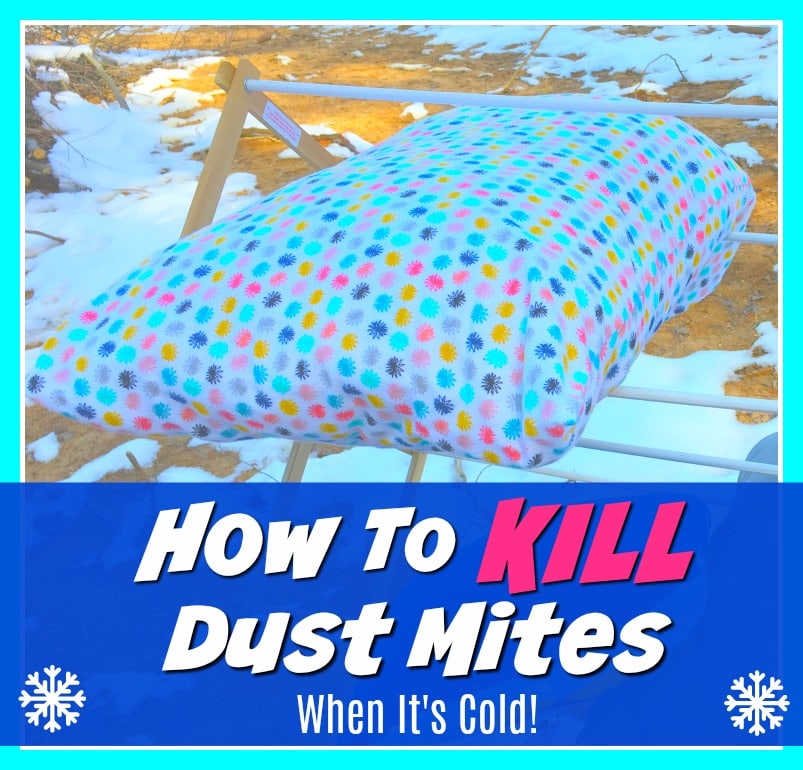 How to Kill Dust Mites Naturally with Cold Get Green Be Well