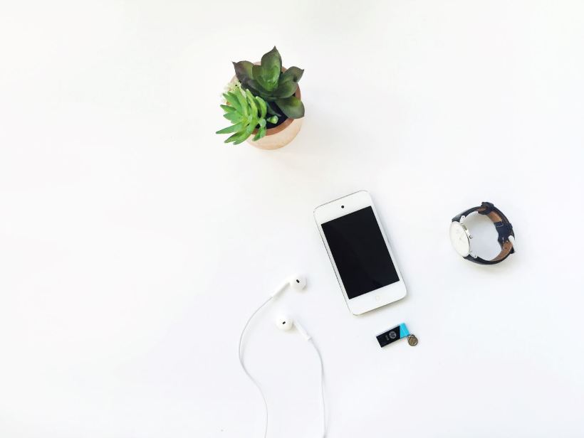 minimalism potted plant phone watch