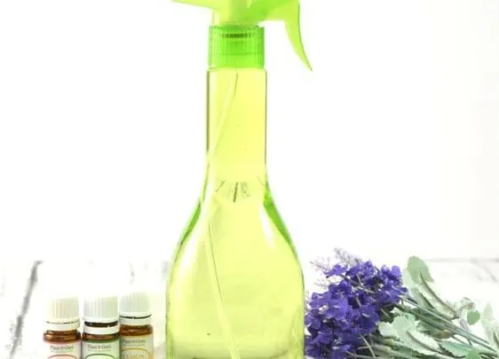 Green Spray Bottle with essential oils and lavender flowers on wooden table