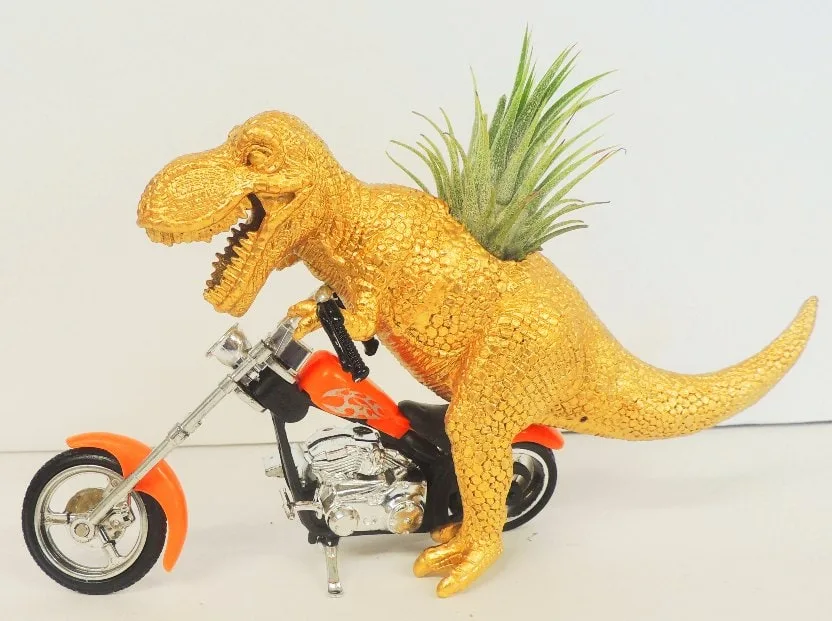 gold plastic dinosaur riding a motorcyle with an air plant growing out of back