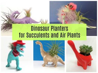 dinosaur planters with succulents and air plants