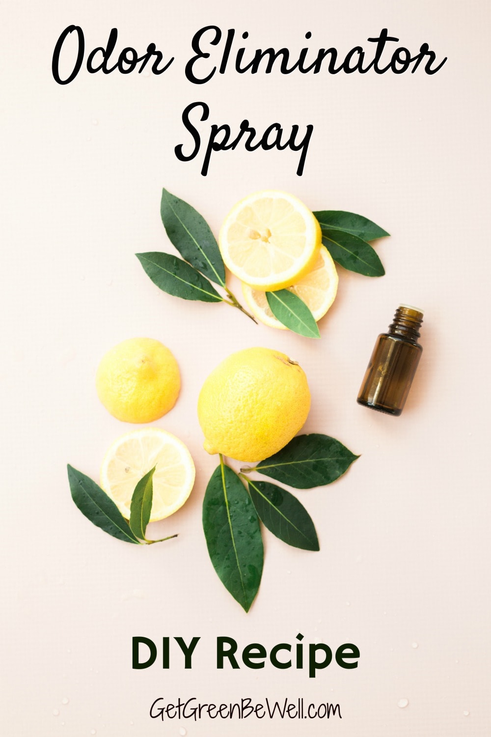 How To Make Natural Odor Eliminator at Benjamin Brown blog
