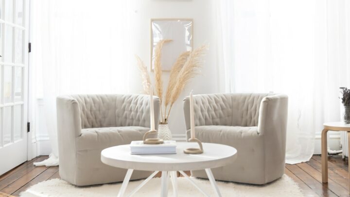 brown chairs on white rug with white end table in sunny room