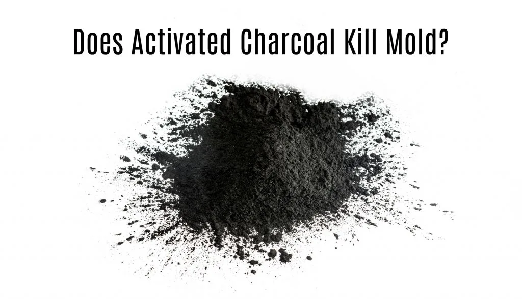 Activated charcoal powder shot with macro lens