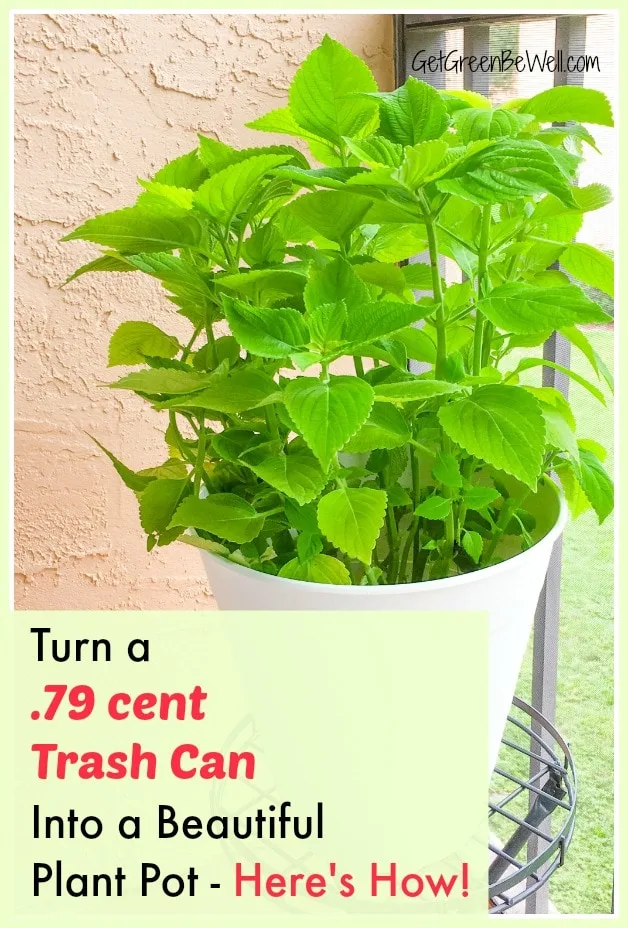 white Trash Can Flower pot with green plant