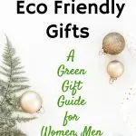 Best Eco Friendly Gifts Green Gift Guide