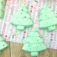 Natural Christmas Tree Bath Fizzies
