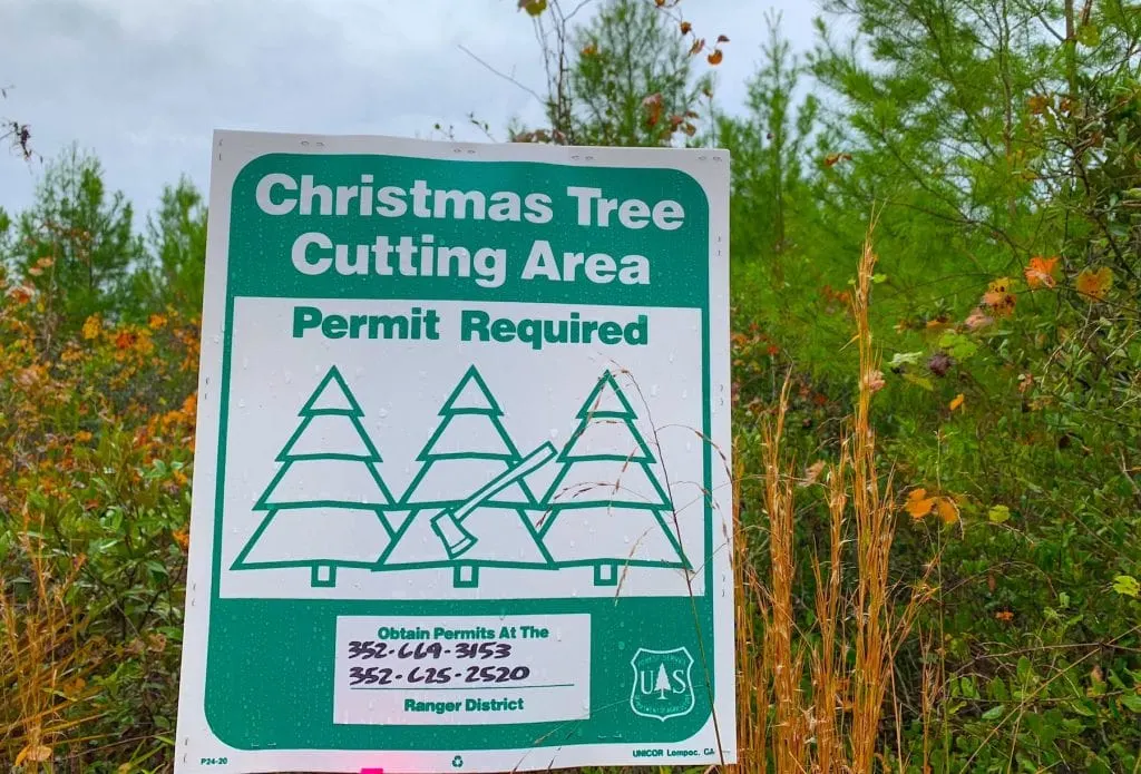 Christmas Tree Cutting Area Permit Ocala National Forest