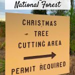 Christmas Tree Cutting National Forest Permit Sign