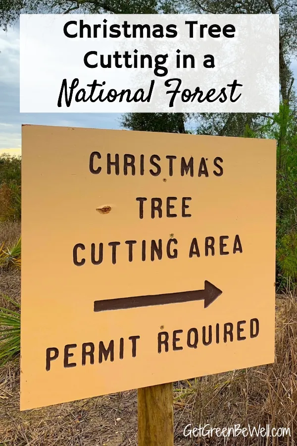Christmas Tree Cutting National Forest Permit Sign