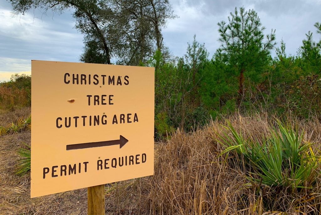 Christmas Tree Cutting National Forest Sign