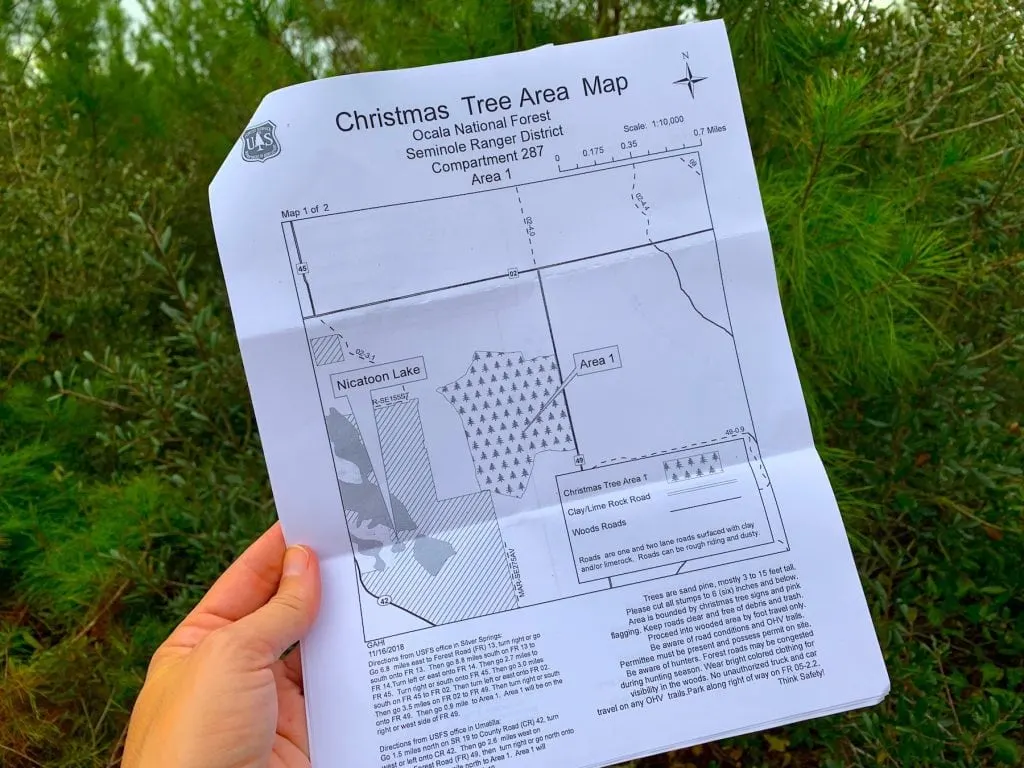 Christmas Tree Cutting Permit Ocala National Forest Map