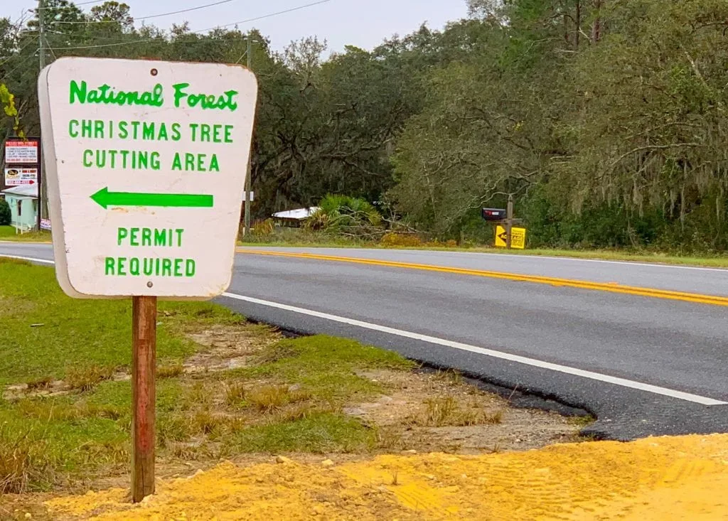 National Forest Christmas Tree Cutting Area Sign on road