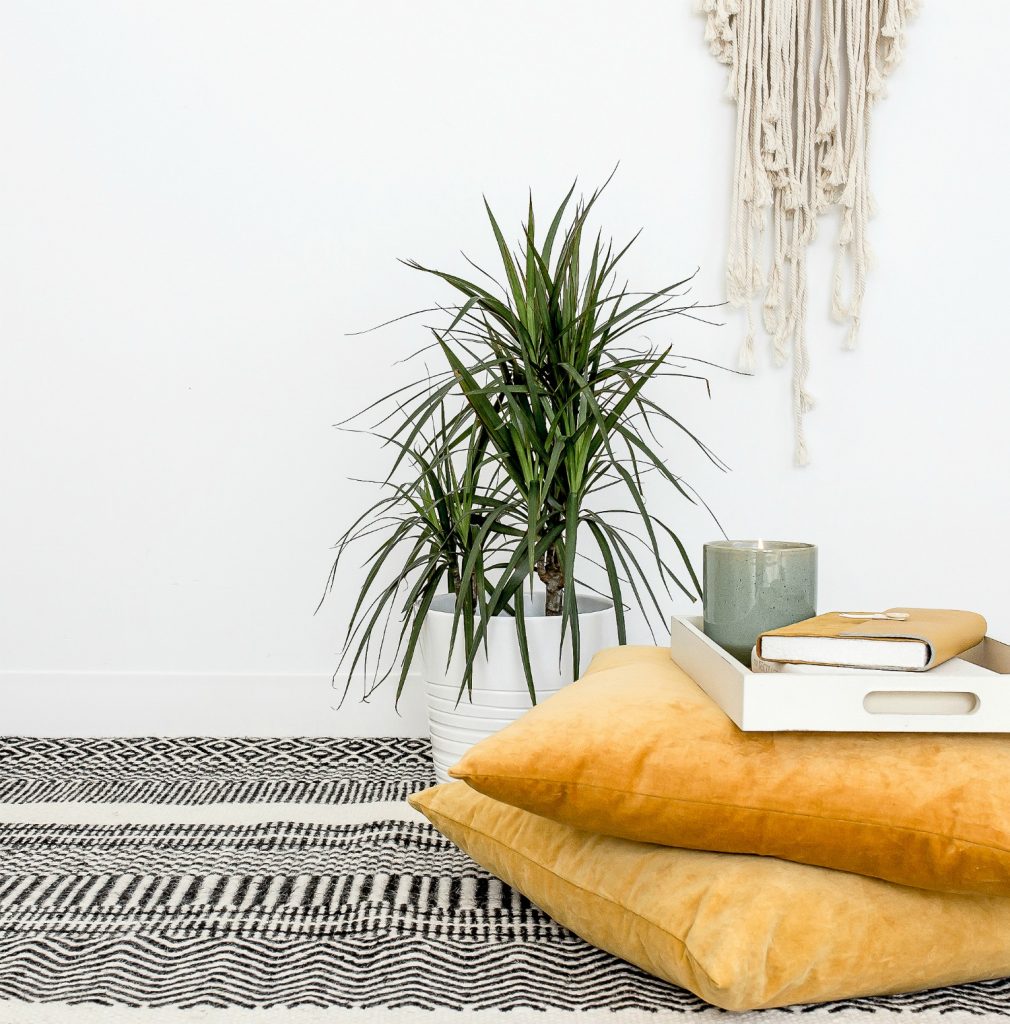 houseplant in white pot on floor black patterned rug pillows stacked